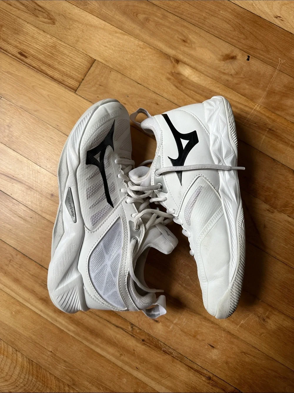 Volleyball/Court shoes